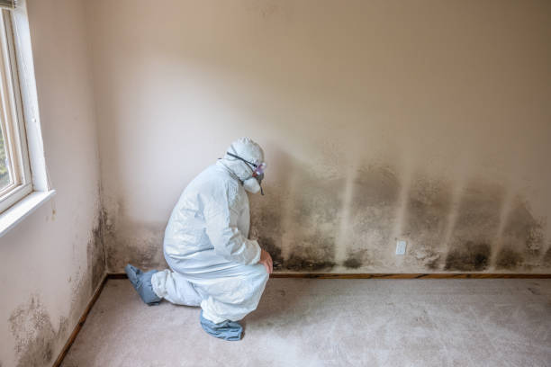 Humansville, MO Mold Remediation Company